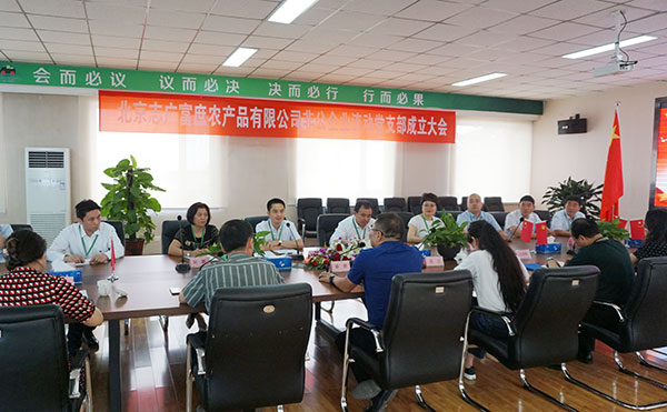博业体育党支部成立
